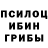 Псилоцибиновые грибы мухоморы Olga Eldezsova