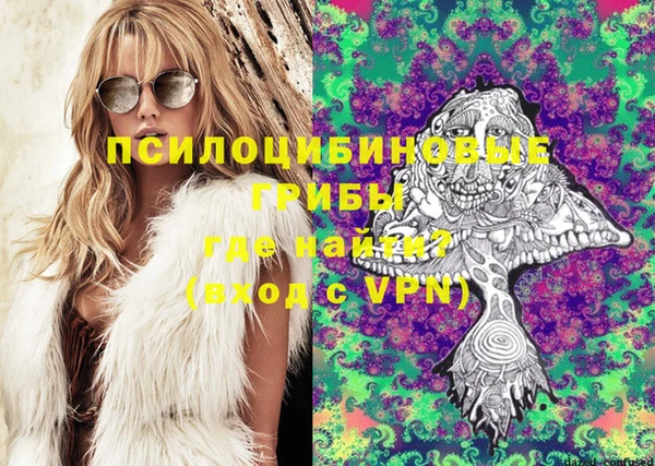 ГАЛЛЮЦИНОГЕННЫЕ ГРИБЫ Баксан