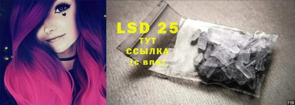 ГАЛЛЮЦИНОГЕННЫЕ ГРИБЫ Баксан