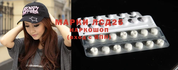 ГАЛЛЮЦИНОГЕННЫЕ ГРИБЫ Баксан