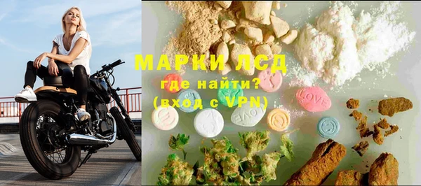 ГАЛЛЮЦИНОГЕННЫЕ ГРИБЫ Баксан