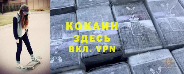 прущие грибы Покровск