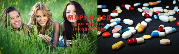 ГАЛЛЮЦИНОГЕННЫЕ ГРИБЫ Баксан
